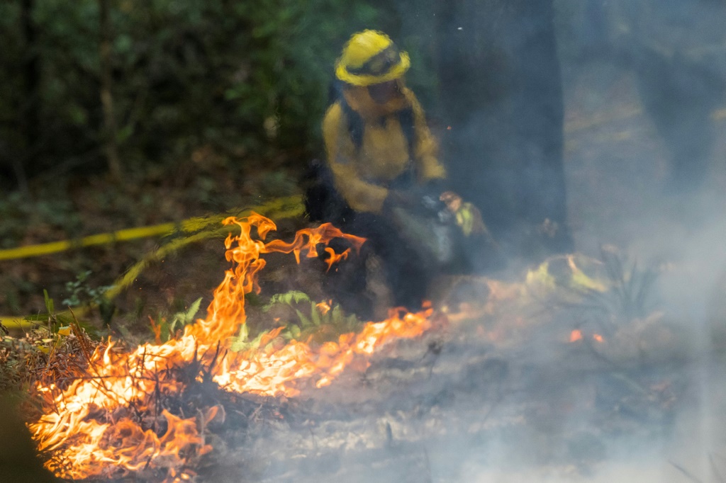 متطوع في جمعية "سنترال كوست بريسكرايب برن" يراقب "حريقاً مضبوطاً" في متنزه قرب سانتا كروز في كاليفورنيا بتاريخ 13 تشرين الاول/أكتوبر 2023 (أ ف ب)   