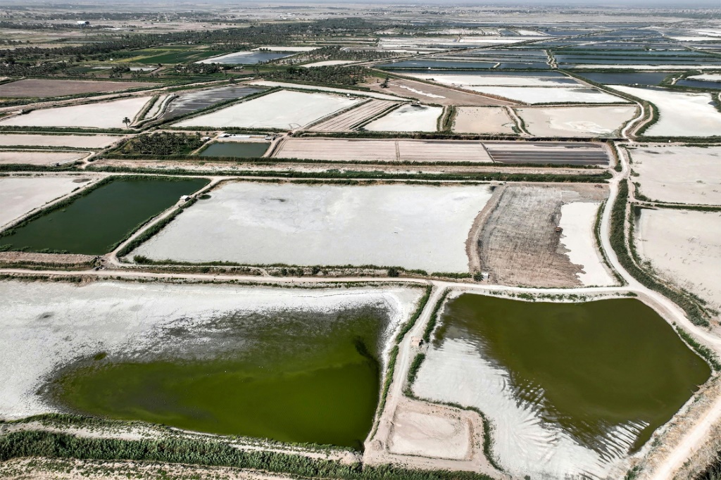 أراضٍ زراعية قرب مدينة الحلة جنوب بغداد في صورة مؤرخة السادس من تموز/يوليو 2023 (أ ف ب)   