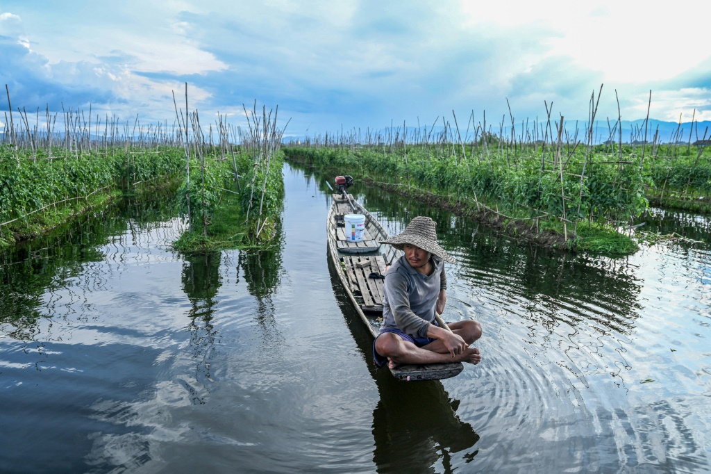 رجل يتنقّل عبر قارب بين ممرات حقله العائم في بحيرة إنلي في بورما بتاريخ 17 تشرين الأول/أكتوبر 2023 (أ ف ب)   