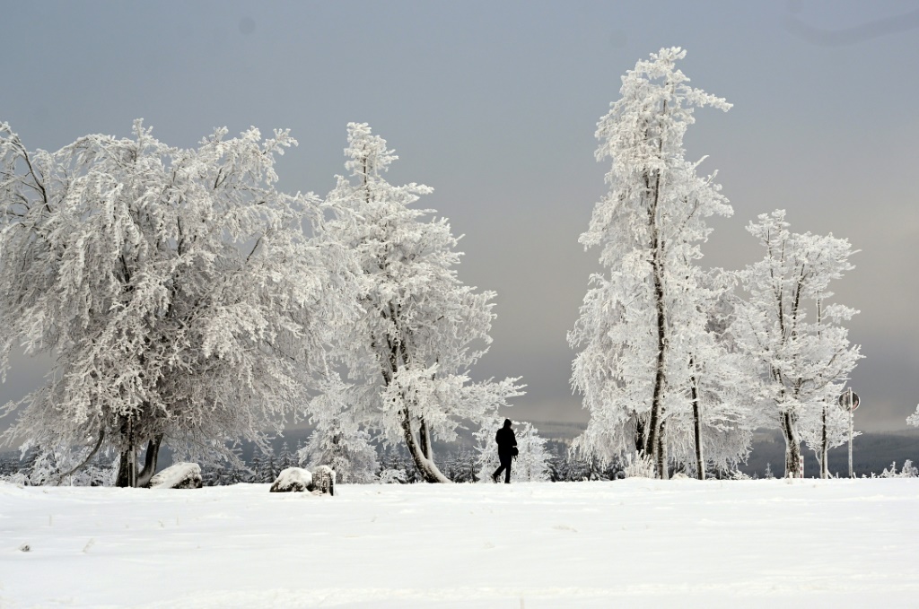 رجل يسير قرب أشجار غطتها الثلوج في جبل كاهلر أستن بالقرب من وينتربرغ، غرب ألمانيا في 1 كانون الأول/ديسمبر 2023 (أ ف ب)   