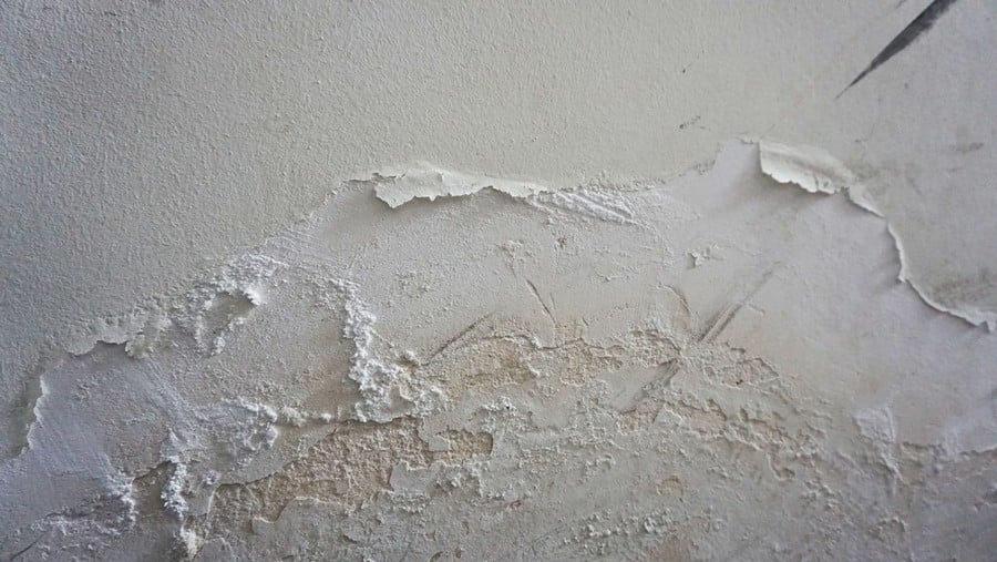كيفية إزالة الرطوبة من الجدران باستخدام مواد طبيعية؟ (سيدتي)