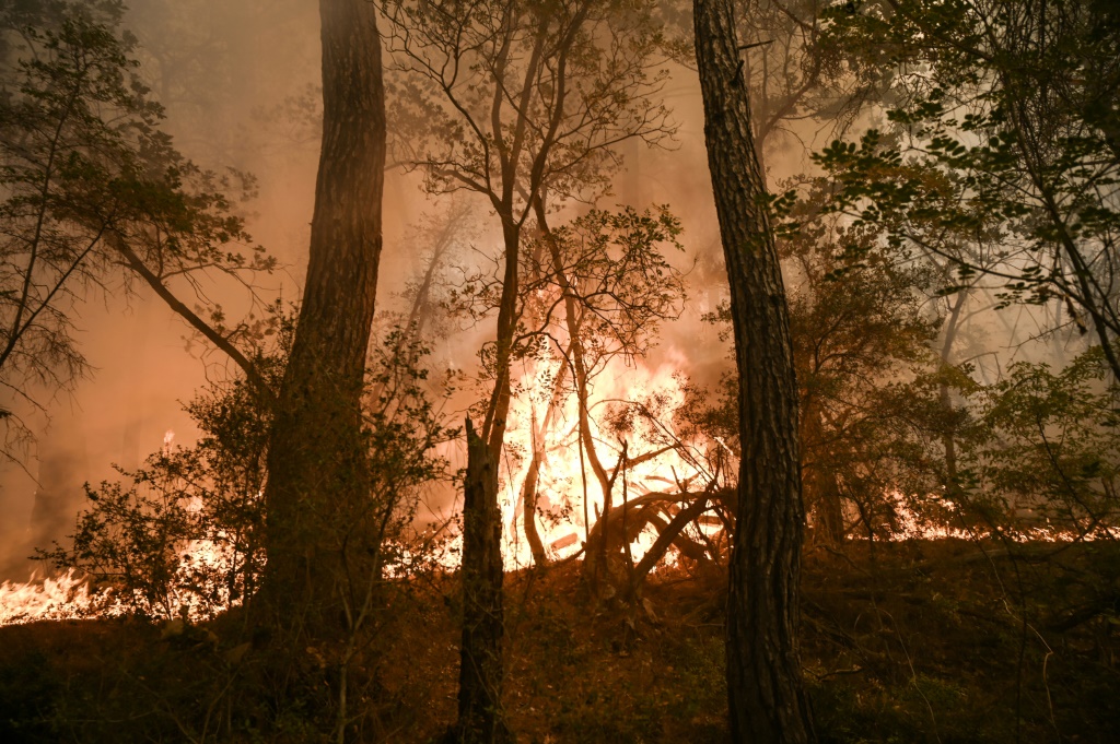 اندلع حريق غابات في حديقة غابة داديا ليفكيمي سوفلي الوطنية، شمال اليونان، في سبتمبر. (أ ف ب)   