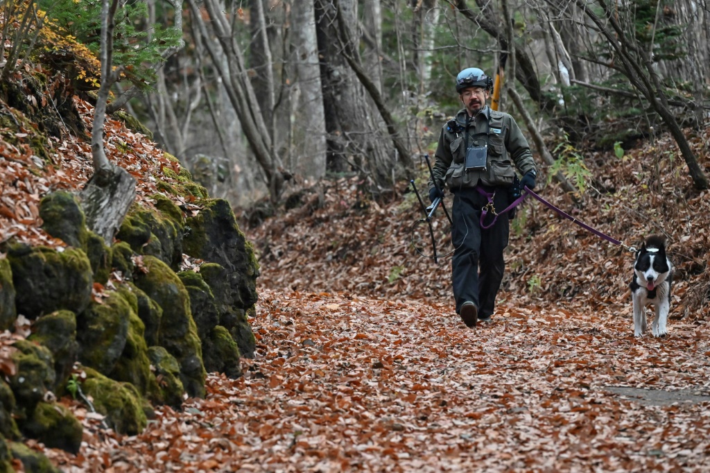  جونبي تاناكا وكلبته ريلا يتجولان في الغابة بالمحاذية لكارويزاوا في اليابان بتاريخ 10 تشرين الثاني/نوفمبر 2023 (أ ف ب)   