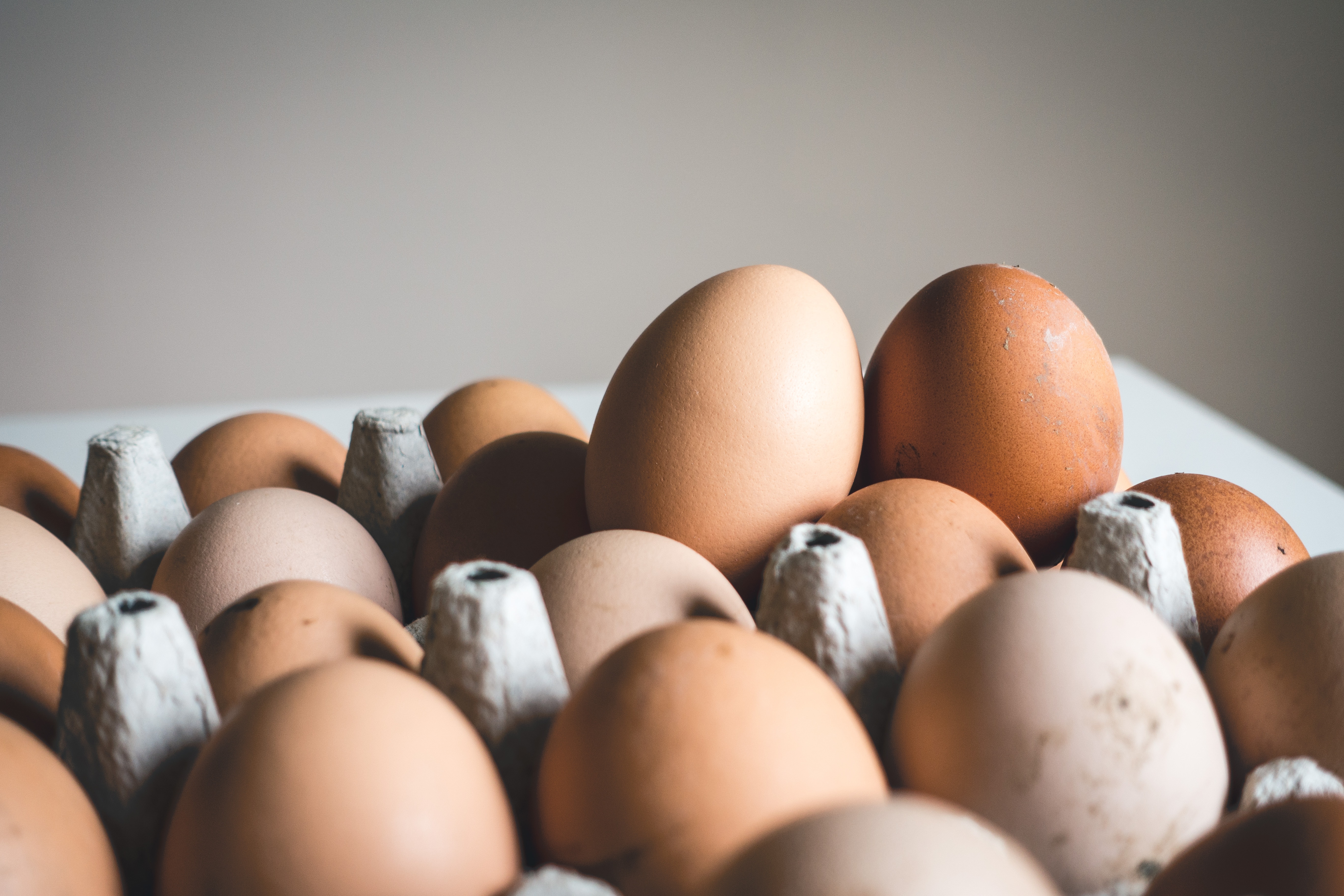 البيض مليء بالطاقة والبروتين (أونسبلاش)