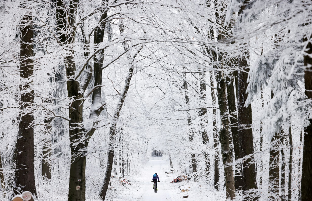 رجل على دراجته الهوائية في غابة تغطيها الثلوج في هايدلبرغ بجنوب غرب المانيا في 16 كانون الثاني/يناير 2024. (أ ف ب)   