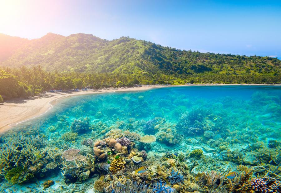 شواطئ مفضلة في جزيرة لومبوك الإندونيسية لعشاق الغوص (سيدتي)