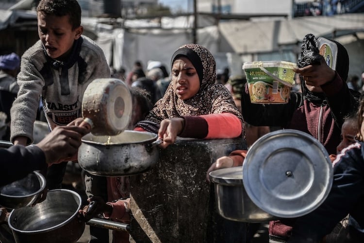 وجبات مجانية لسد رمق عائلاتهم التي لا تجد في الكثير من الأحيان هذا النوع من الطعام (الأناضول)