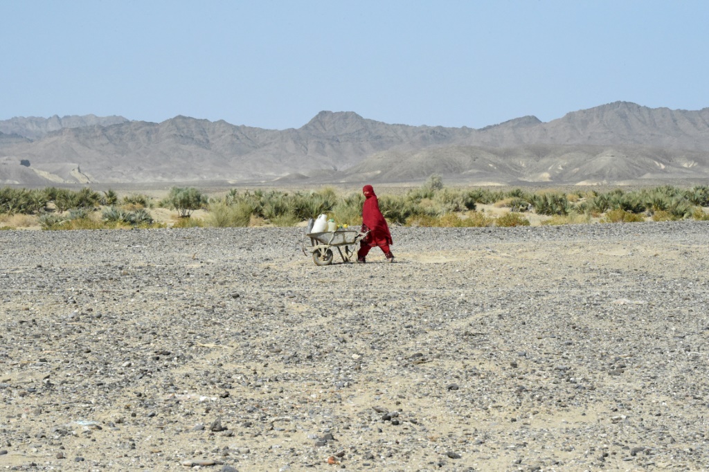 امرأة تحمل قوارير مياه في عربة في محافظة بلوشستان جنوب غرب باكستان في 18 كانون الثاني/يناير 2024 (أ ف ب)   