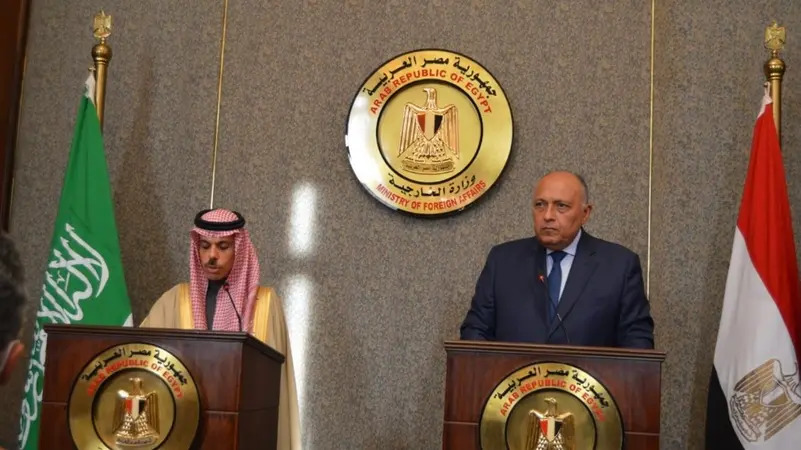 وزيرا الخارجية السعودي والمصري (اعلام مصري)