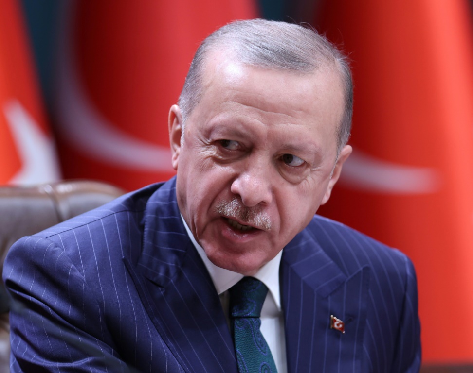 الرئيس التركي رجب طيب أردوغان 0ا ف ب)