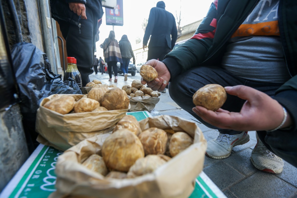 يجمع كثير من السوريين عن الكمأة في الصحراء لبيعها بأسعار مرتفعة والمساعدة في تغطية نفقاتهم في البلد الذي مزقته الحرب. بائع يرتب الكمأة على جانب الطريق في دمشق في 1 آذار/مارس 2023 (ا ف ب)