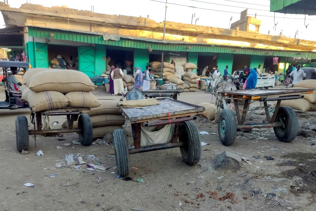 عربات تجرها حمير متوقفة في سوق بولاية القضارف بشرق السودان في 20 شباط/فبراير 2024 (أ ف ب)   
