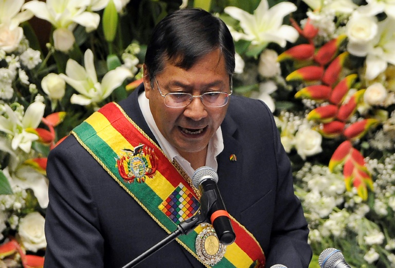 الرئيس البوليفي لويس آرسي (ا ف ب)