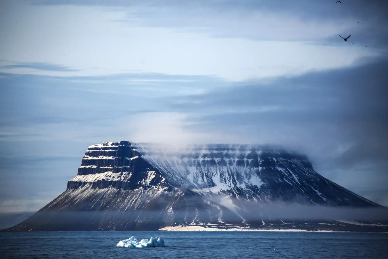 علماء يكشفون سر ثقب عملاق في القطب الجنوبي