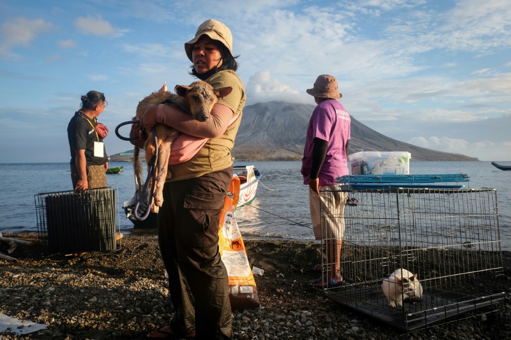 متطوع يحمل كلبًا جريحًا تم إنقاذه من سفح جبل روانج (أ ف ب)   