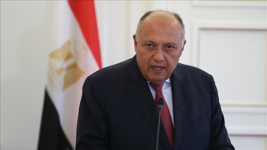 وزير الخارجية المصري سامح شكري (الأناضول)