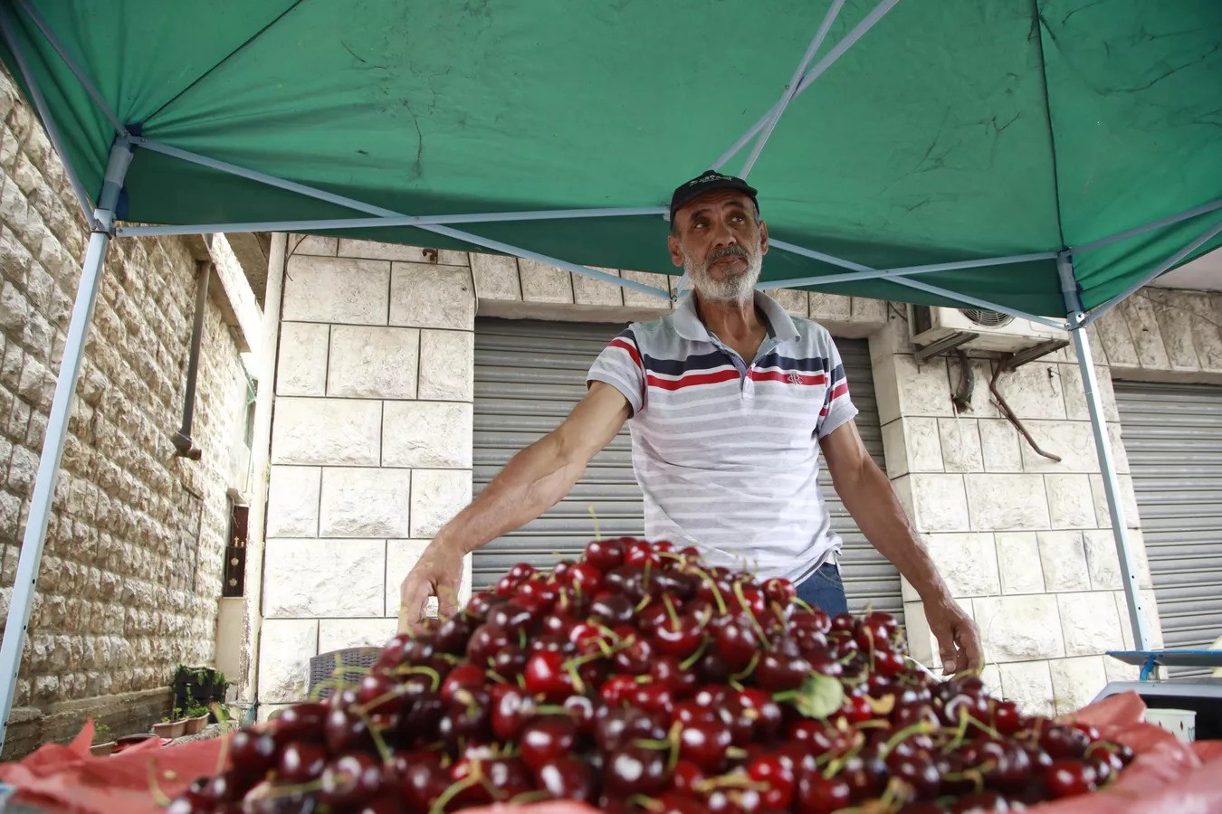 احتفال بلدة حمانا الواقعة في جبل لبنان خلال شهر يونيو بمهرجان الكرز السنوي (سبوتنيك)