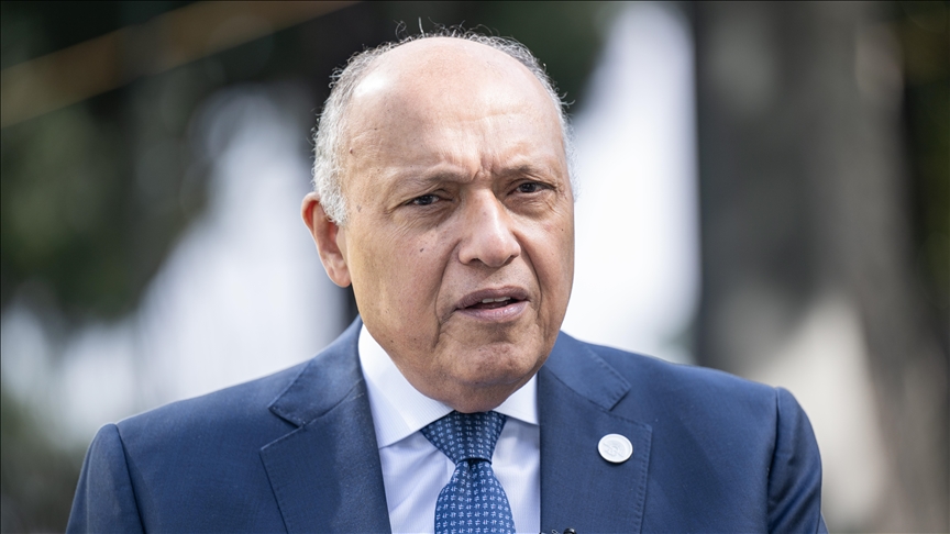 وزير الخارجية المصري سامح شكري (الاناضول)