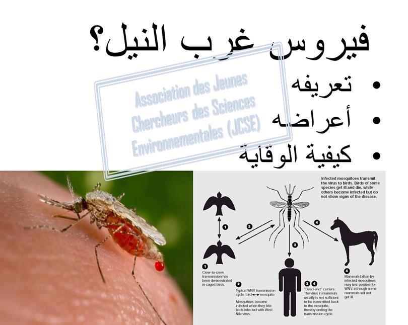 اكتشاف علاقة بين الهباء الجوي واحتمال الإصابة بالشلل الدماغي   اكتشف الأطباء الكنديون والأمريكيون أدلة على وجود علاقة بين تركيز جزيئات الهباء الجوي الدقيقة في الهواء واحتمال إصابة الطفل بالشلل الدماغي.   وتشير مجلة JAMA Network Open إلى أن الباحثين تابعوا تطور 1.5 مليون طفل داخل الرحم ولدوا في كندا بشكل طبيعي. واتضح لهم أن احتمال الإصابة بالشلل الدماغي يزداد بشكل ملحوظ عند ارتفاع تركيز جزيئات الهباء الجوي الصغيرة في الهواء، في حين وجود كميات كبيرة من جزيئات أكسيد النيتروجين أو الأوزون لم يكن له تأثير كبير على هذا الخطر.   وكانت هذه الدراسة التي أشرفت عليها الدكتورة كارمن ميسيرليان الأستاذة المشاركة في جامعة هارفرد الأمريكية، من ضمن مشروع كبير يهدف إلى تحديد تأثير الأشكال المختلفة لتلوث الهواء على احتمال تطور الشلل الدماغي داخل الرحم.  وشملت الدراسة أكثر من 1.5 مليون امرأة حامل. واتضح فيما بعد أن حوالي 3 آلاف من الأولاد والبنات ولدوا بأشكال مختلفة من الشلل الدماغي، ما سمح للعلماء بمراقبة تأثير أشكال مختلفة من تلوث الهواء على احتمال حدوث مثل هذه الاضطرابات في النمو.  وأظهرت الحسابات التي أجراها الباحثون أن احتمال الإصابة بالشلل الدماغي يزيد بنسبة 12 بالمئة لكل زيادة في تركيز جزيئات الهباء الجوي الدقيقة بمقدار 2.7 ميكروغرام لكل متر مكعب، وهو ما يعادل حوالي نصف الحد الأقصى المسموح به لتركيز هذه الجزيئات وفقا لتوصيات منظمة الصحة العالمية. وكان هذا الاتجاه أكثر وضوحا بين الأولاد (14 بالمئة) منه بين البنات (8 بالمئة)، وتغير احتمال الإصابة بالشلل الدماغي بطريقة مماثلة مع التعرض للهباء الجوي على الجنين، في المرحلتين الأولى والأخيرة من نموه.  أما الملوثات الأخرى بما فيها ثاني أكسيد النيتروجين والأوزون، فلم يكن لها أي تأثير واضح على احتمال تطور الشلل الدماغي قبل الولادة لدى الأطفال من كلا الجنسين.  ويعتقد الباحثون أن هذه الاختلافات ترجع إلى أن جزيئات الهباء الجوي التي تخترق دماغ الجنين الذي ينمو تسبب التهابا مزمنا، وهو أمر غير معتاد بالنسبة لملوثات الهواء الأخرى. لذلك يجب على الأطباء أن يأخذوا هذا الأمر بالاعتبار عند تقييم المخاطر التي يتعرض لها الجنين في الرحم (فيسبوك)