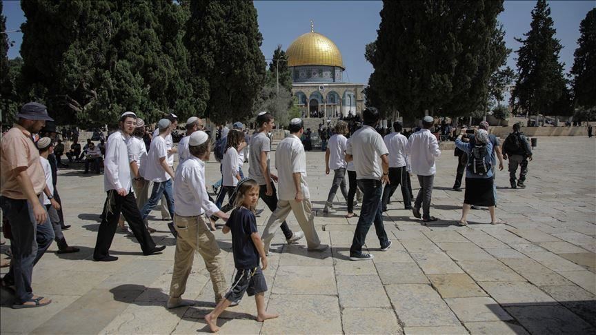 قطعان المستوطنون في القدس (الاناضول)