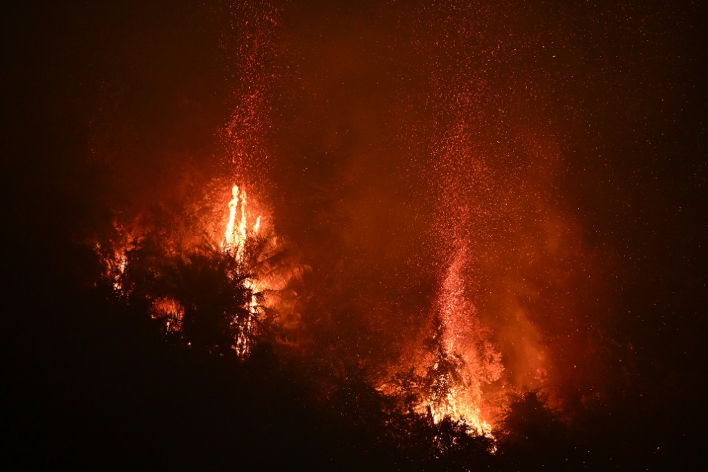 حريق مندلع في محمية تينغوا الطبيعية في نوفا إيغواسو في ولاية ريو دي جانيرو في البرازيل في 13 أيلول/سبتمبر 2024 (ا ف ب)