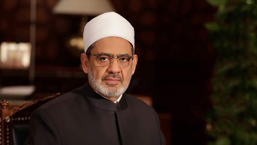 شيخ الأزهر أحمد الطيب (ألاناضول)