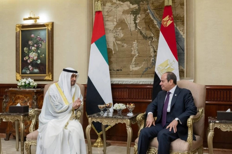 الرئيسان المصري والاماراتي (وام)