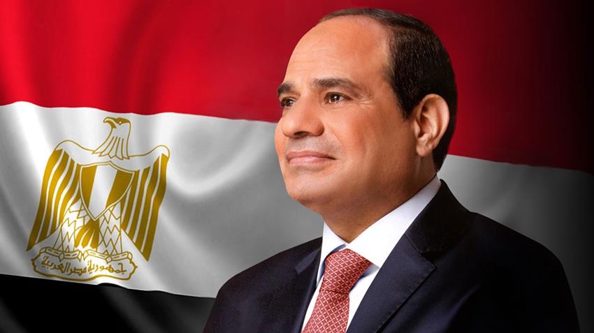 الرئيس المصري عبد الفتاح السيسي (موقع الرئاسة المصرية)