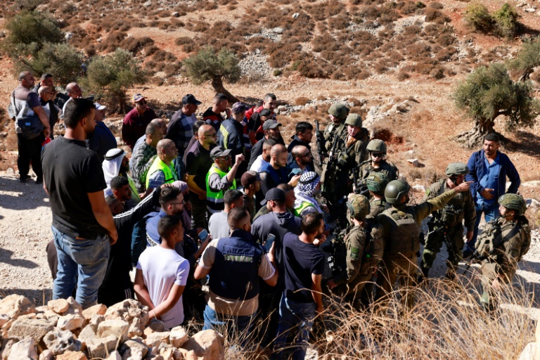 جنود إسرائيليون يقطعون الطريق أمام مزارعين فلسطينيين بشكل يحول دون قطافهم الزيتون في قرية بُرقة شرق مدينة رام الله في 20 تشرين الأول/أكتوبر 2024 (أ ف ب)