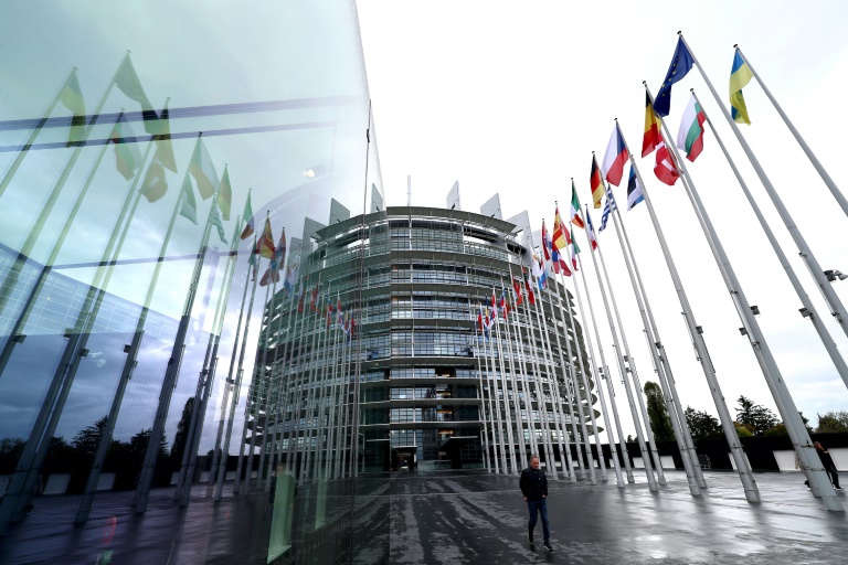 صورة ملتقطة في 22 تشرين الأول/أكتوبر 2024 تظهر فيها أعلام الدول الأوروبية معروضة أمام البرلمان الأوروبي في ستراسبورغ شرقي فرنسا (ا ف ب)