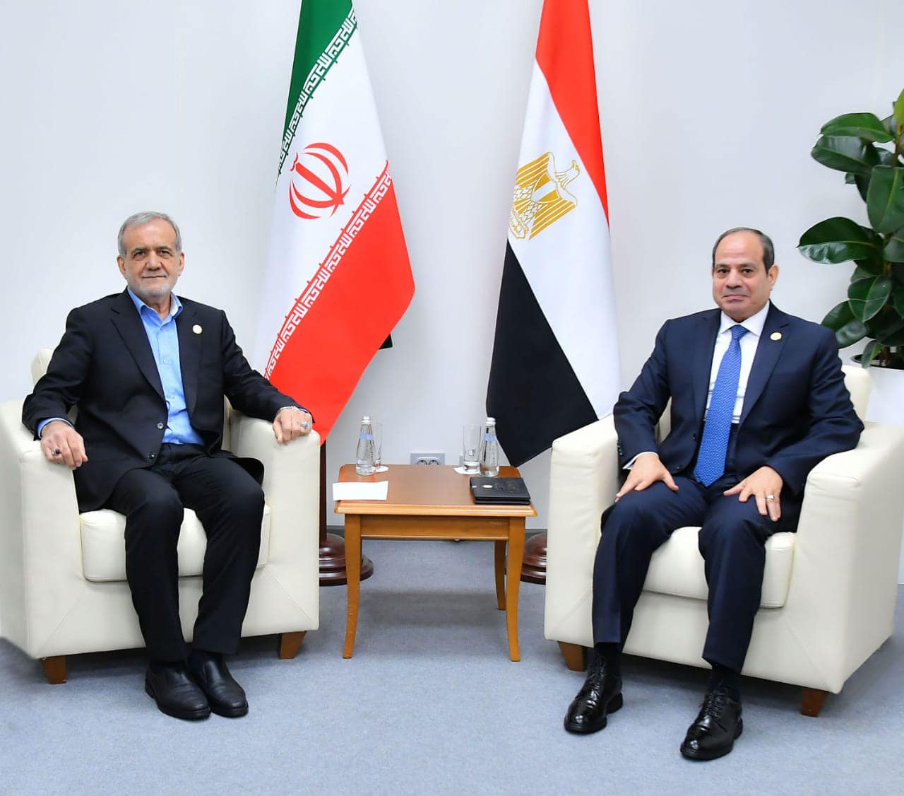 الرئيس المصري مع نظيره الإيراني (موقع الرئاسة المصرية )