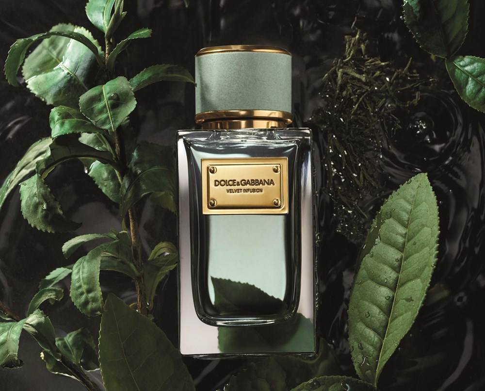 عطر «Velvet Infusion» من «Dolce&Gabbana»