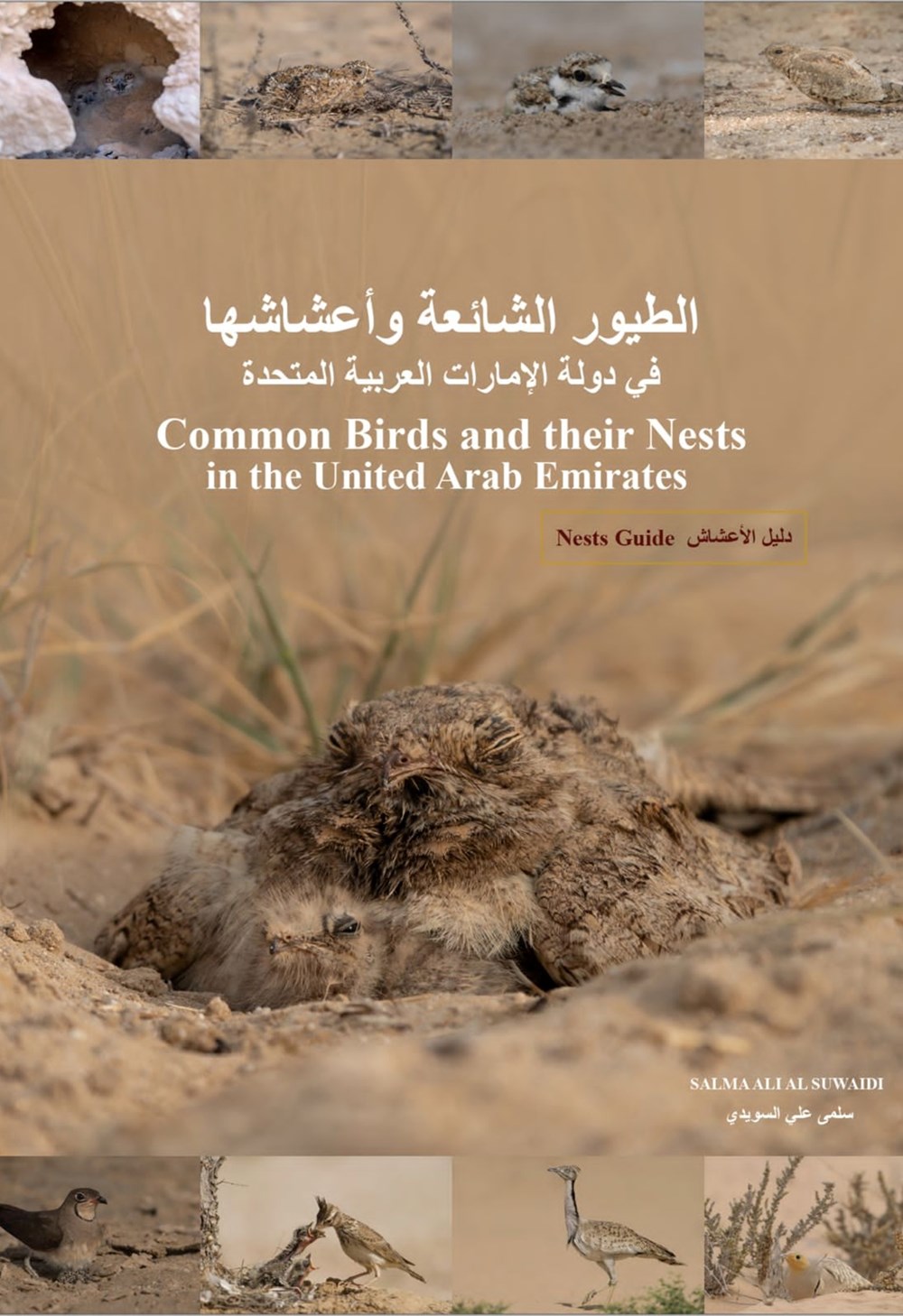 كتاب المصورة الإماراتية سلمى السويدي