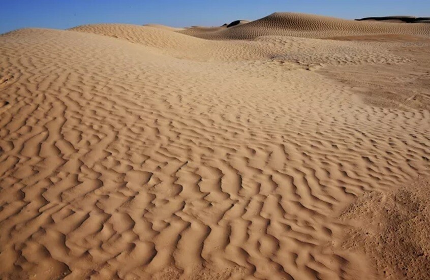 من صحراء المغرب إلى فيافي الجزائر.. إيطالي ينقذ نفسه بدماء الخفافيش! (سبوتنيك)