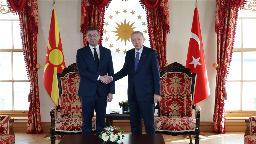 أردوغان يلتقي رئيس وزراء شمال مقدونيا في إسطنبول (الأناضول)