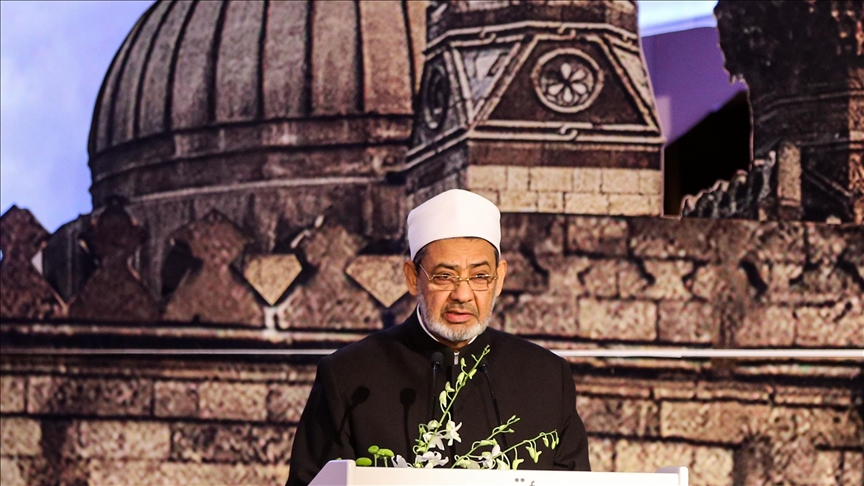 شيخ الأزهر أحمد الطيب (الاناضول)