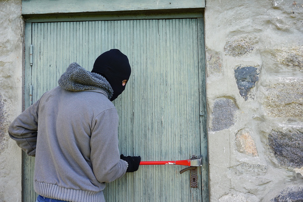 في حادثة مثيرة.. لص يسرق ويبتلع أقراطا بقيمة 770 ألف دولار (بيكسابي)