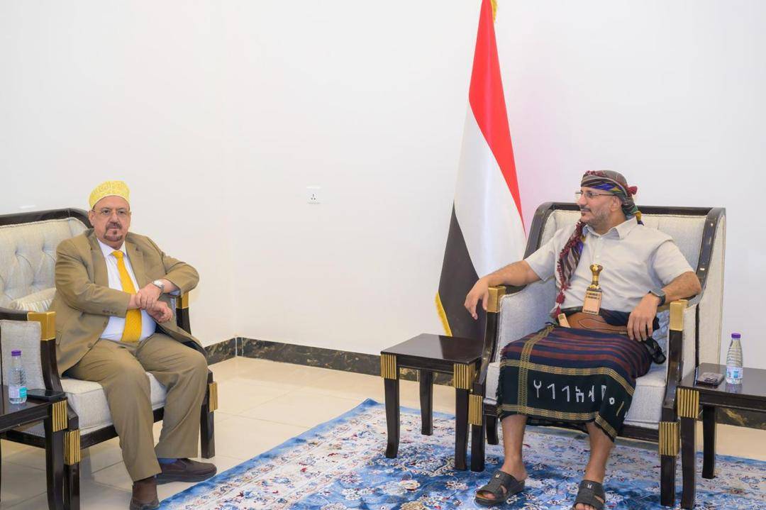 طارق صالح خلال لقاء مع رئيس البرلمان اليمني سلطان البركاني (الشرق الأوسط)