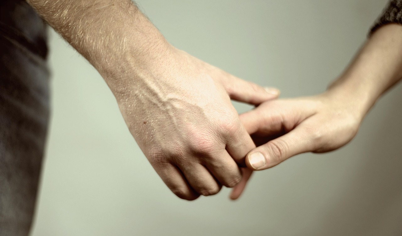 تصنيف جديد لصفات شريك الحياة المثالي (بيكسابي)