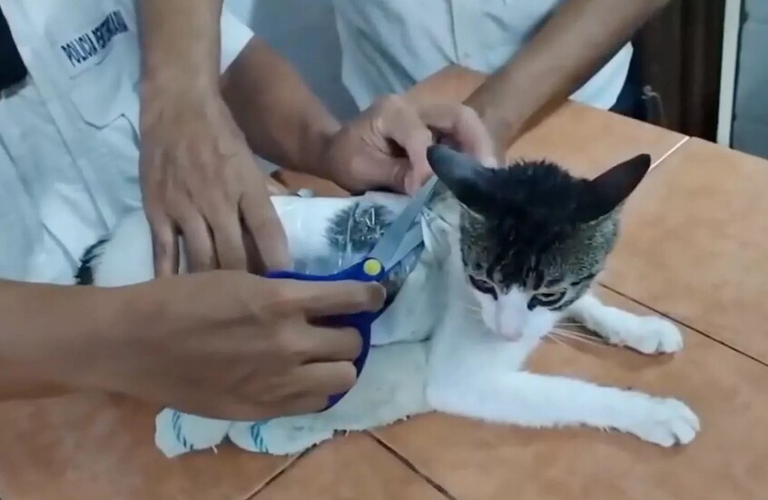 بالجرم المشهود.. 