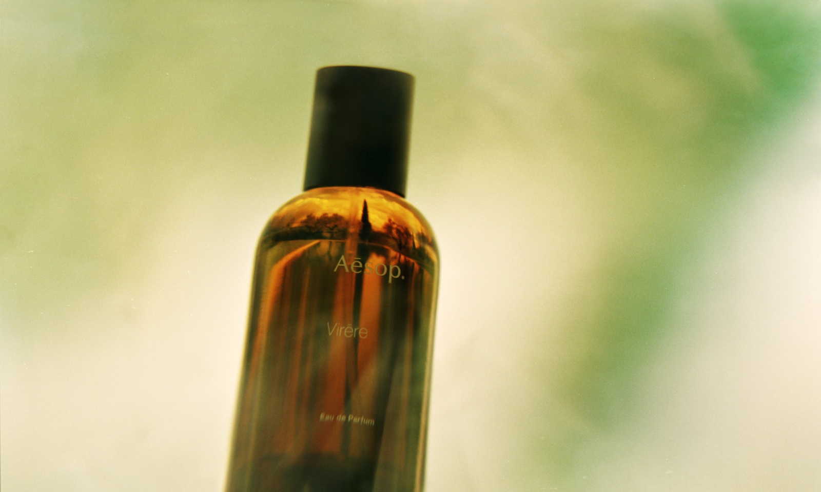 virēre الأحدث من مجموعة عطور علامة أيسوب Aesop الفاخرة لموسم الربيع - المصدر: Aesop 