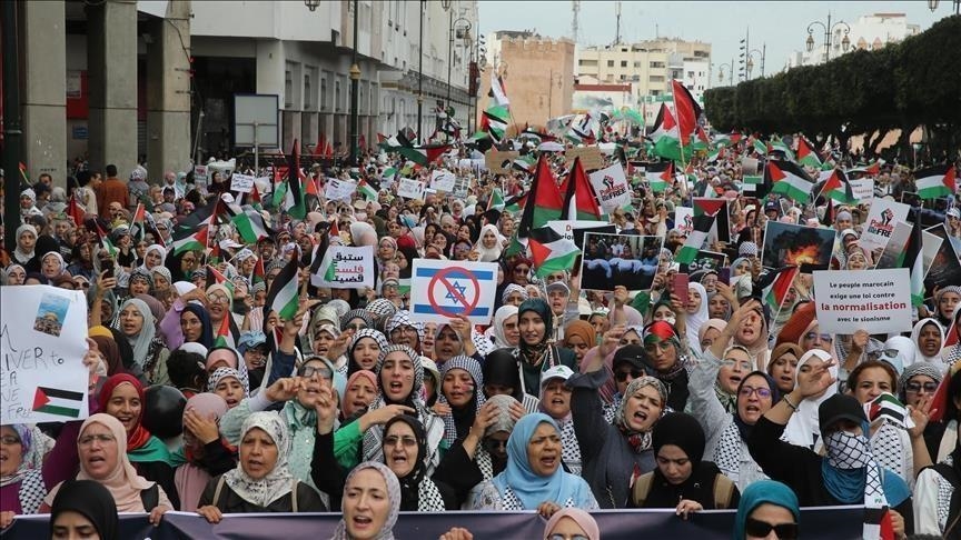 رفع المشاركون في هذه الوقفات لافتات تدعم "مقاومة فلسطين" وصمود شعبها إلى جانب الأعلام الفلسطينية (الاناضول)