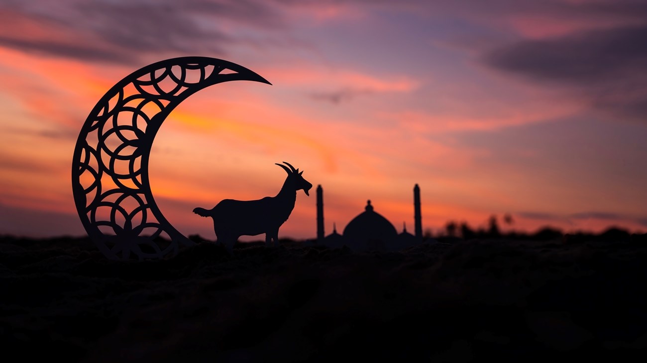 أغرب الاحتفالات بقدوم عيد الأضحى حول العالم (زهرة الخليج)