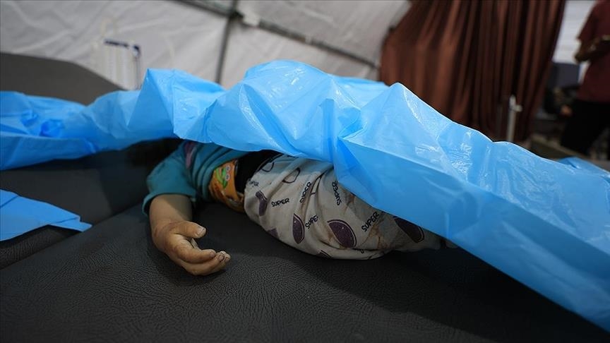54 ألفا و677 قتيلا حصيلة العدوان الإسرائيلي بغزة منذ 7 أكتوبر 2023 (الأناضول)