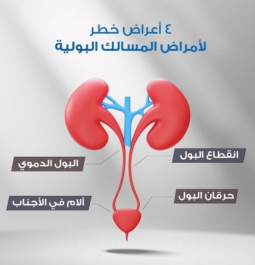 أحد أهم الأخطاء التي يرتكبها الأطباء في علاج التهاب المثانة هو اختيار المضاد الحيوي الخاطئ (مواقع التواصل)