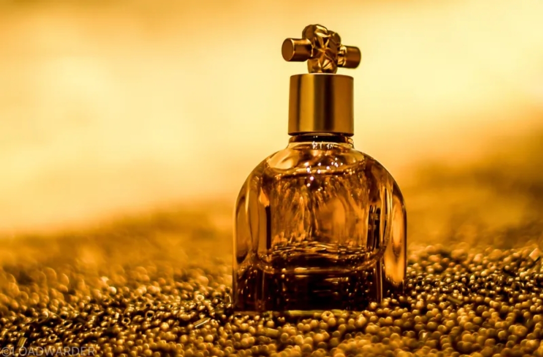 إنجاز سعودي .. باحثون يبتكرون عطرًا ثمينًا ومستدامًا من (الطحالب)