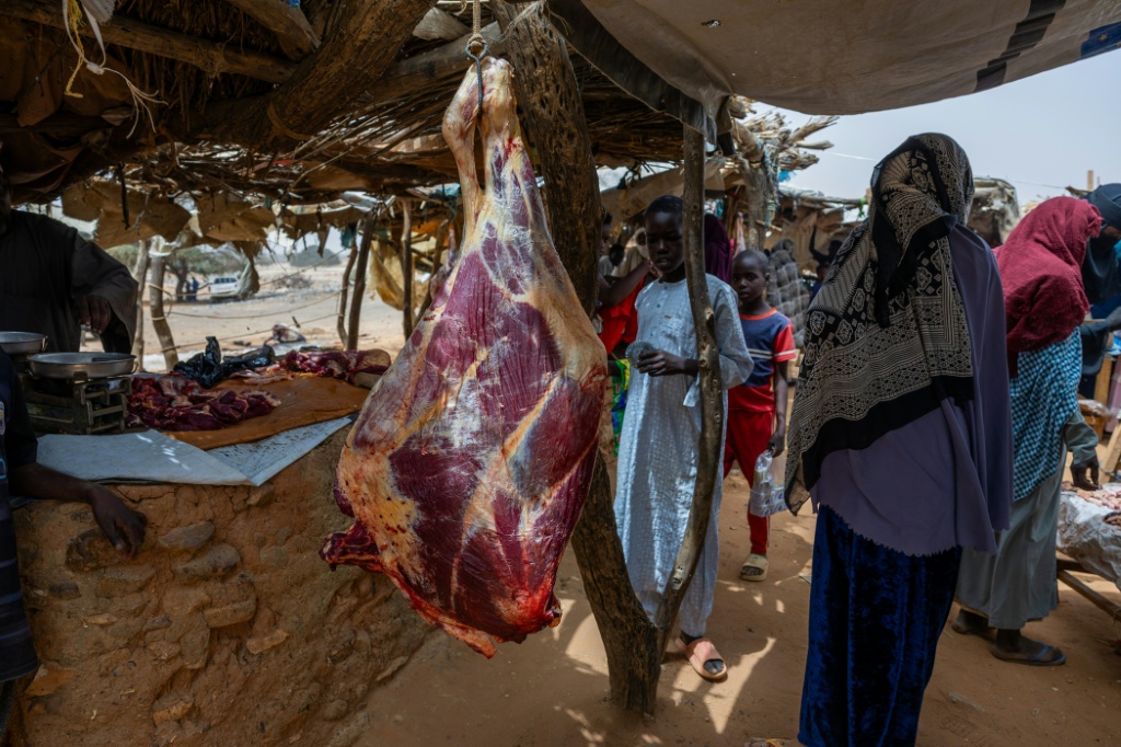 قطعة لحم في سوق في مخيم للاجئين السودانيين في تشاد بتاريخ 11 نيسان/أبريل 2025 (أ ف ب)