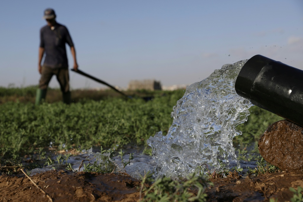  مزارعون يقومون بري حقولهم في سهل شتوكة جنوب مدينة أكادير في المغرب في 13 أيار/مايو 2025 (أ ف ب)