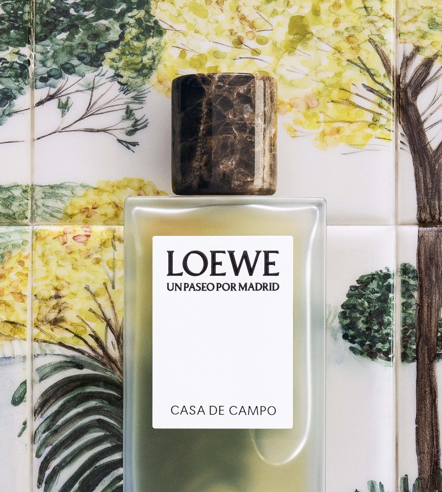 المصدر: Loewe