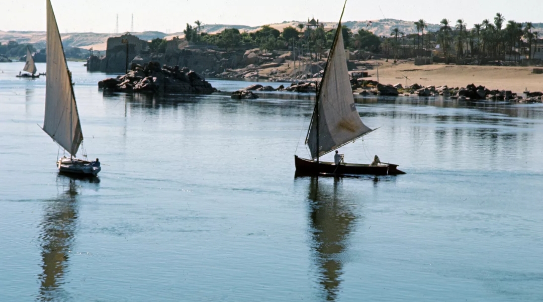 أسوان تستقبل ألف سوداني في طريق عودتهم إلى وطنهم (سبوتنيك)